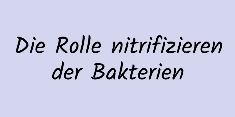 Die Rolle nitrifizierender Bakterien
