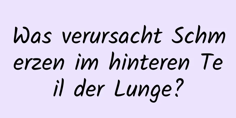 Was verursacht Schmerzen im hinteren Teil der Lunge?