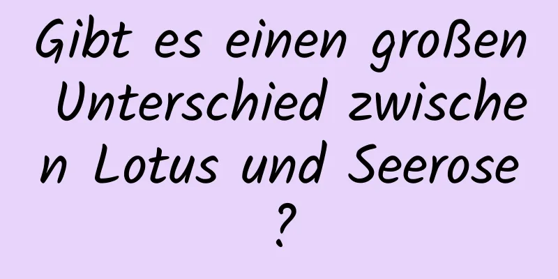 Gibt es einen großen Unterschied zwischen Lotus und Seerose?