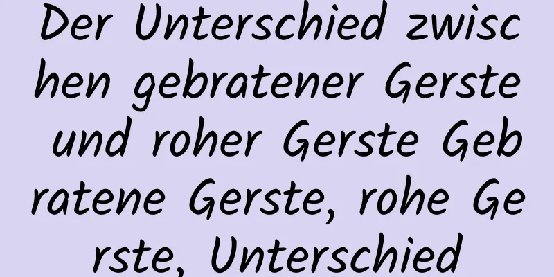 Der Unterschied zwischen gebratener Gerste und roher Gerste Gebratene Gerste, rohe Gerste, Unterschied