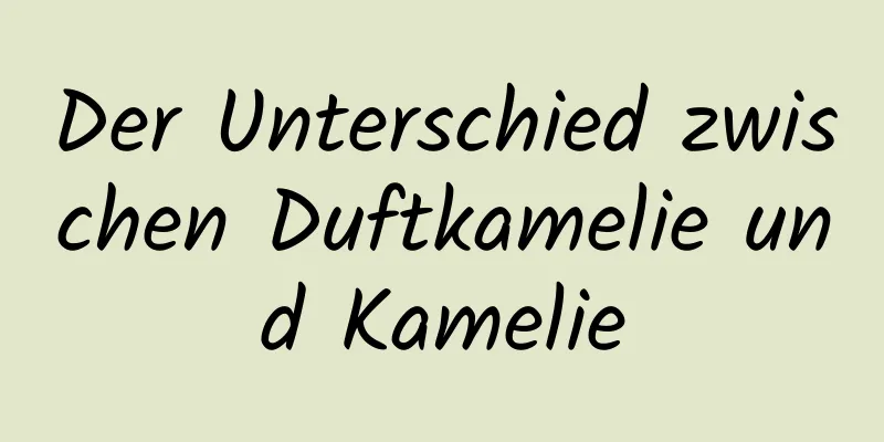 Der Unterschied zwischen Duftkamelie und Kamelie
