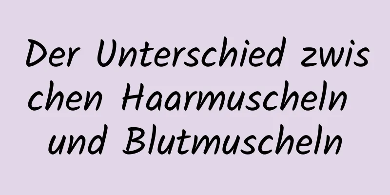 Der Unterschied zwischen Haarmuscheln und Blutmuscheln