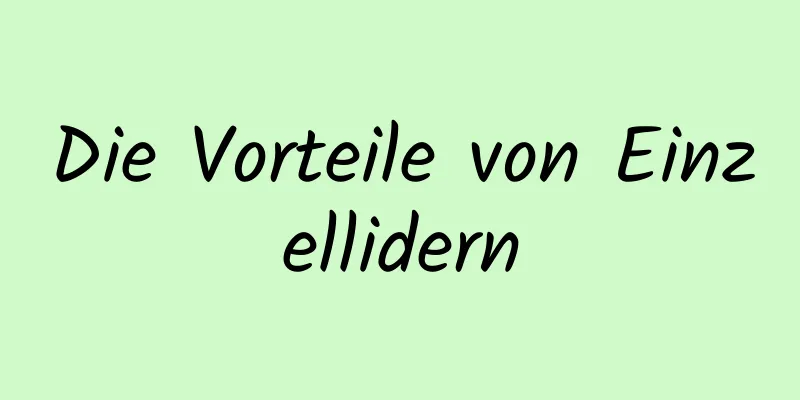 Die Vorteile von Einzellidern