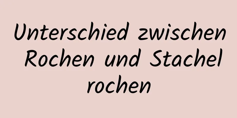 Unterschied zwischen Rochen und Stachelrochen