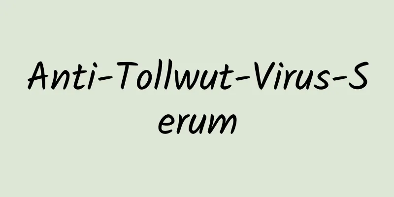 Anti-Tollwut-Virus-Serum