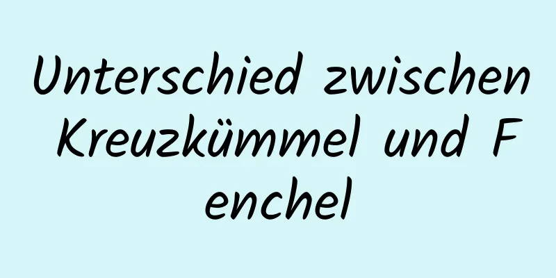 Unterschied zwischen Kreuzkümmel und Fenchel