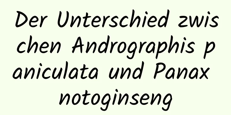 Der Unterschied zwischen Andrographis paniculata und Panax notoginseng