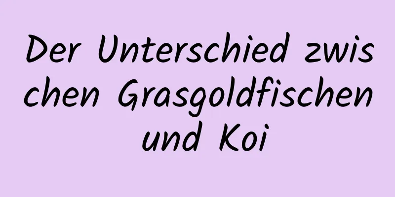 Der Unterschied zwischen Grasgoldfischen und Koi