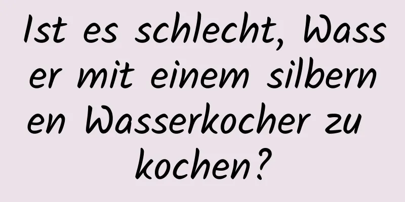 Ist es schlecht, Wasser mit einem silbernen Wasserkocher zu kochen?