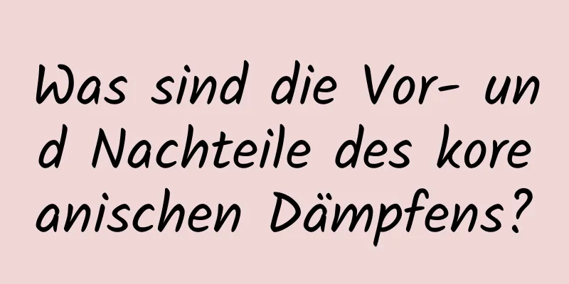 Was sind die Vor- und Nachteile des koreanischen Dämpfens?