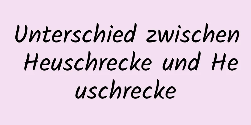 Unterschied zwischen Heuschrecke und Heuschrecke