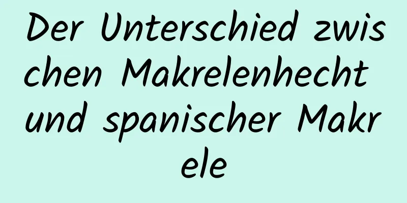 Der Unterschied zwischen Makrelenhecht und spanischer Makrele