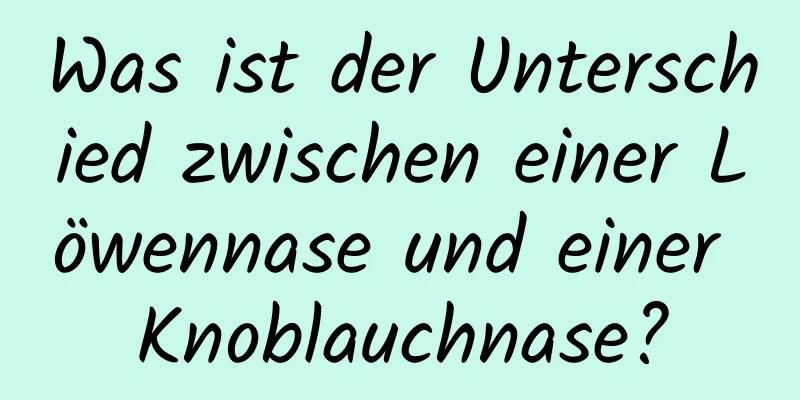 Was ist der Unterschied zwischen einer Löwennase und einer Knoblauchnase?