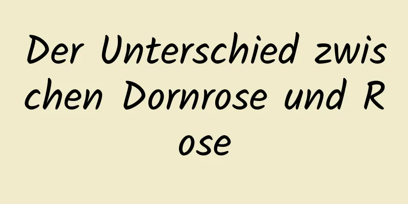 Der Unterschied zwischen Dornrose und Rose