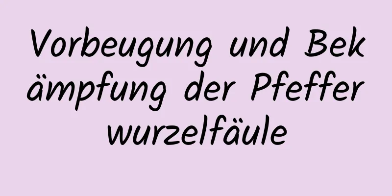 Vorbeugung und Bekämpfung der Pfefferwurzelfäule