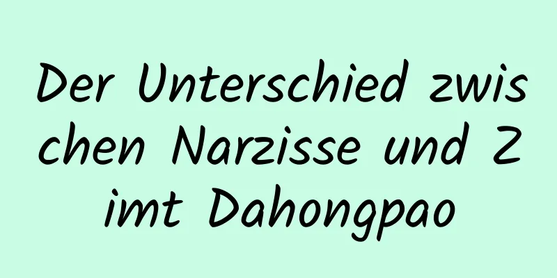 Der Unterschied zwischen Narzisse und Zimt Dahongpao