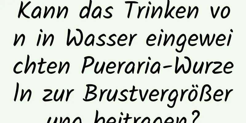 Kann das Trinken von in Wasser eingeweichten Pueraria-Wurzeln zur Brustvergrößerung beitragen?