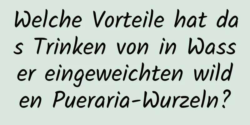 Welche Vorteile hat das Trinken von in Wasser eingeweichten wilden Pueraria-Wurzeln?