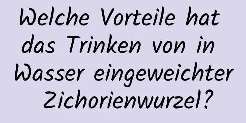 Welche Vorteile hat das Trinken von in Wasser eingeweichter Zichorienwurzel?