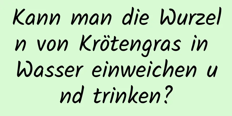 Kann man die Wurzeln von Krötengras in Wasser einweichen und trinken?