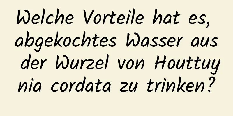 Welche Vorteile hat es, abgekochtes Wasser aus der Wurzel von Houttuynia cordata zu trinken?