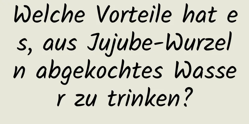 Welche Vorteile hat es, aus Jujube-Wurzeln abgekochtes Wasser zu trinken?