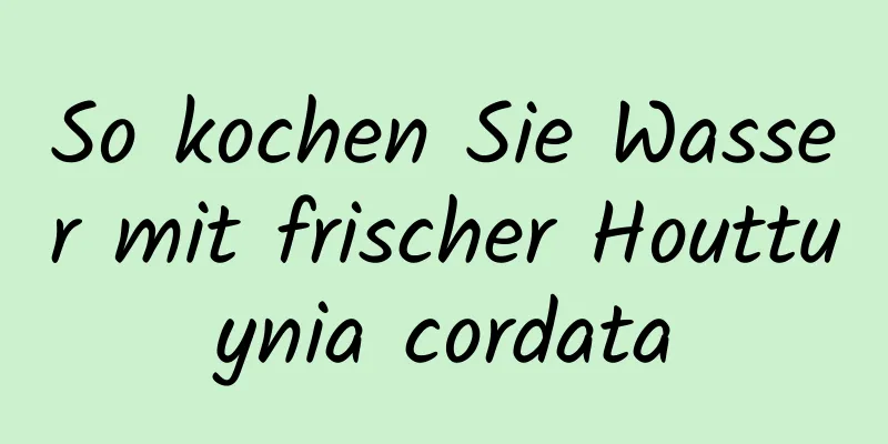 So kochen Sie Wasser mit frischer Houttuynia cordata