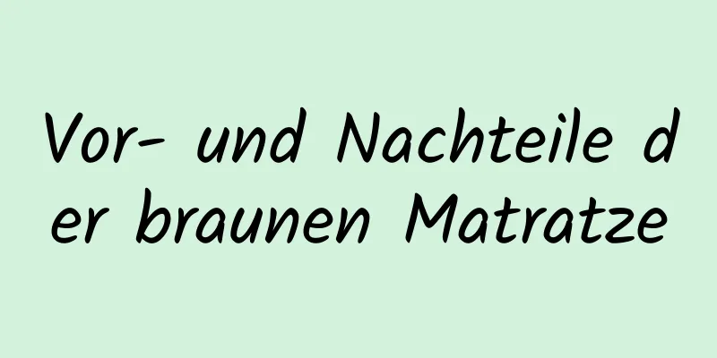 Vor- und Nachteile der braunen Matratze