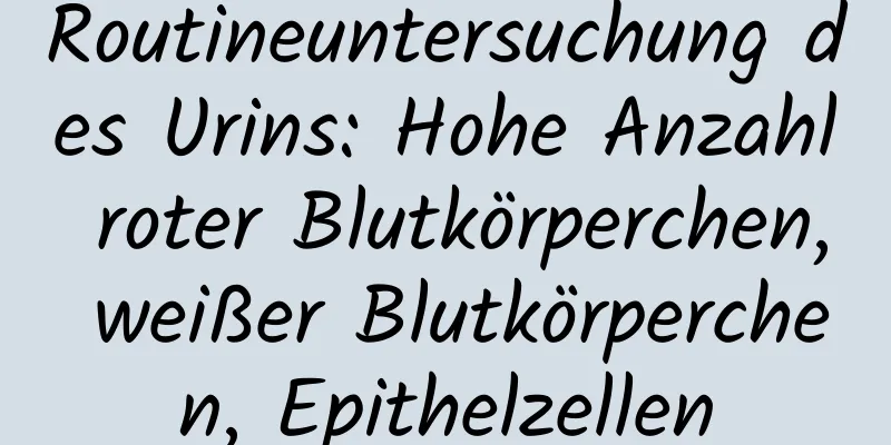 Routineuntersuchung des Urins: Hohe Anzahl roter Blutkörperchen, weißer Blutkörperchen, Epithelzellen