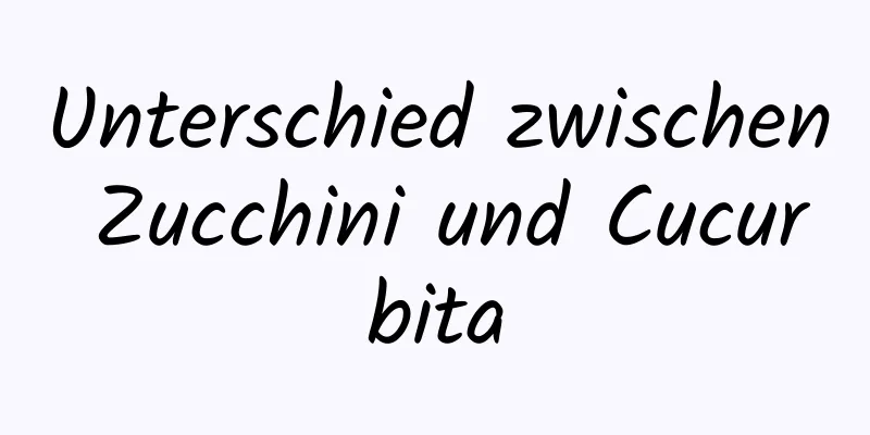 Unterschied zwischen Zucchini und Cucurbita