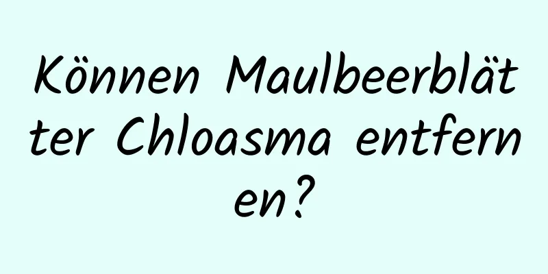 Können Maulbeerblätter Chloasma entfernen?