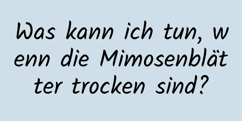 Was kann ich tun, wenn die Mimosenblätter trocken sind?