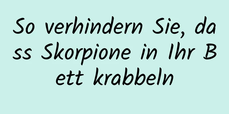 So verhindern Sie, dass Skorpione in Ihr Bett krabbeln