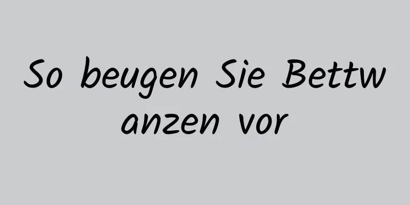 So beugen Sie Bettwanzen vor