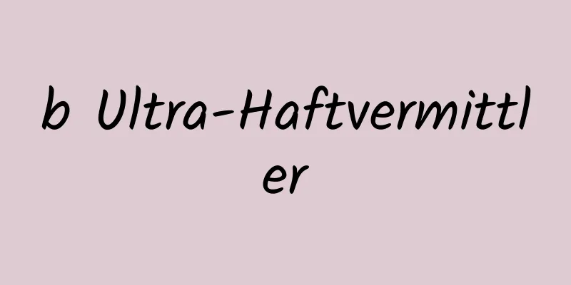 b Ultra-Haftvermittler