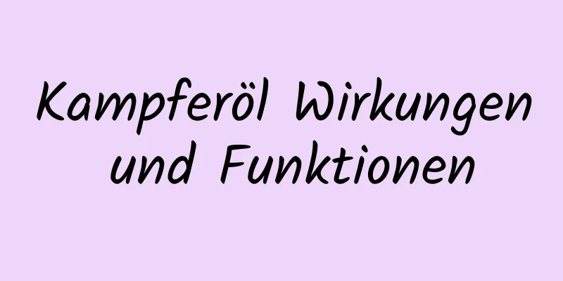 Kampferöl Wirkungen und Funktionen
