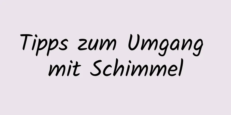 Tipps zum Umgang mit Schimmel