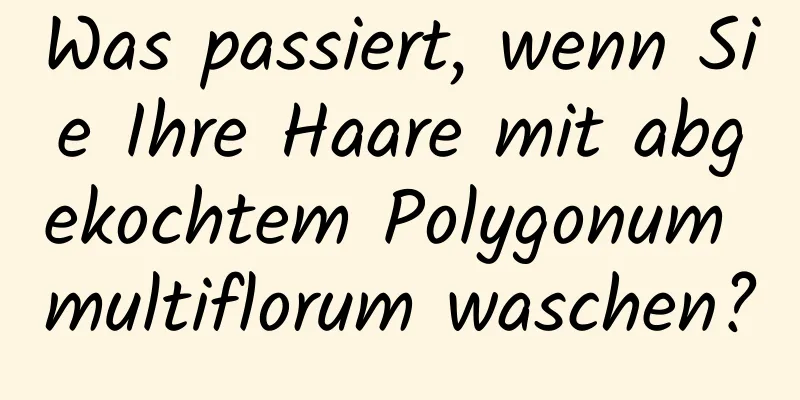 Was passiert, wenn Sie Ihre Haare mit abgekochtem Polygonum multiflorum waschen?