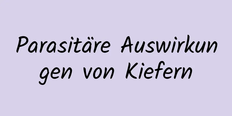 Parasitäre Auswirkungen von Kiefern