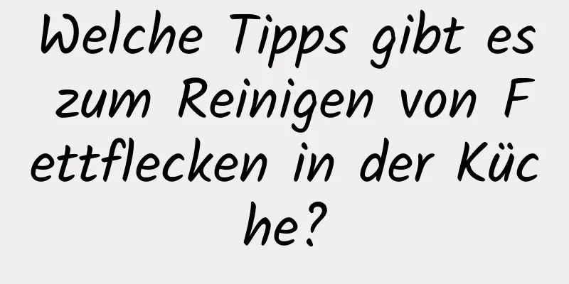 Welche Tipps gibt es zum Reinigen von Fettflecken in der Küche?