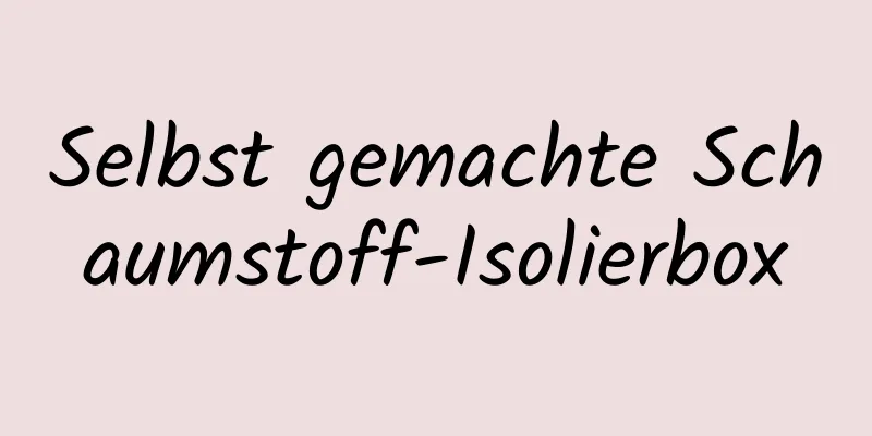 Selbst gemachte Schaumstoff-Isolierbox