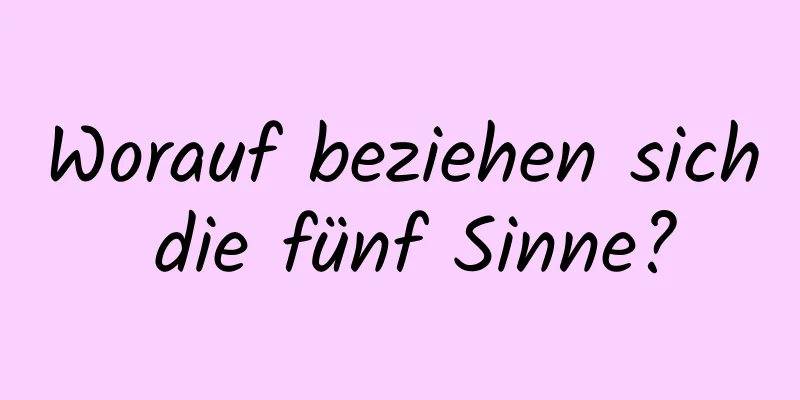 Worauf beziehen sich die fünf Sinne?