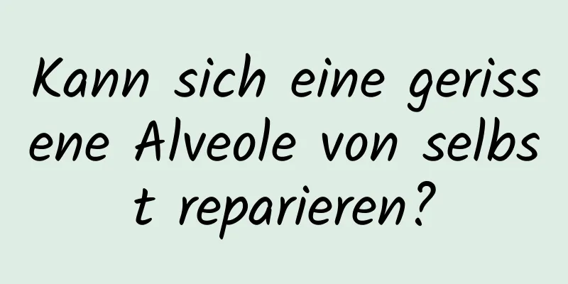 Kann sich eine gerissene Alveole von selbst reparieren?