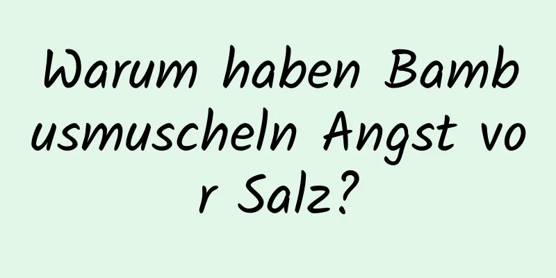 Warum haben Bambusmuscheln Angst vor Salz?