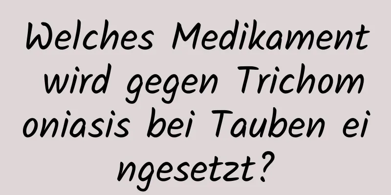 Welches Medikament wird gegen Trichomoniasis bei Tauben eingesetzt?