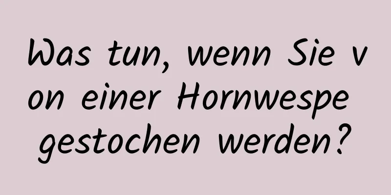 Was tun, wenn Sie von einer Hornwespe gestochen werden?