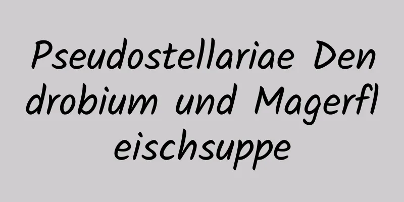Pseudostellariae Dendrobium und Magerfleischsuppe
