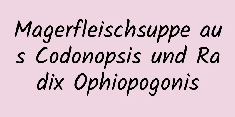 Magerfleischsuppe aus Codonopsis und Radix Ophiopogonis