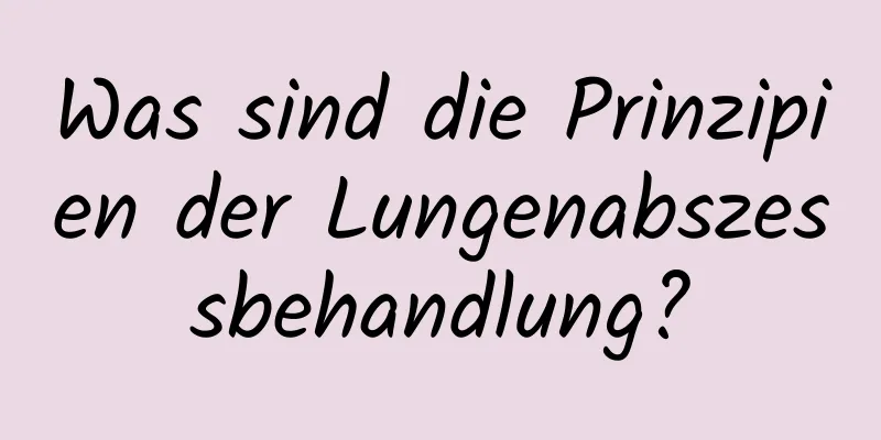 Was sind die Prinzipien der Lungenabszessbehandlung?