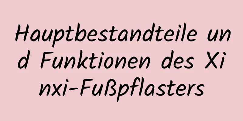 Hauptbestandteile und Funktionen des Xinxi-Fußpflasters